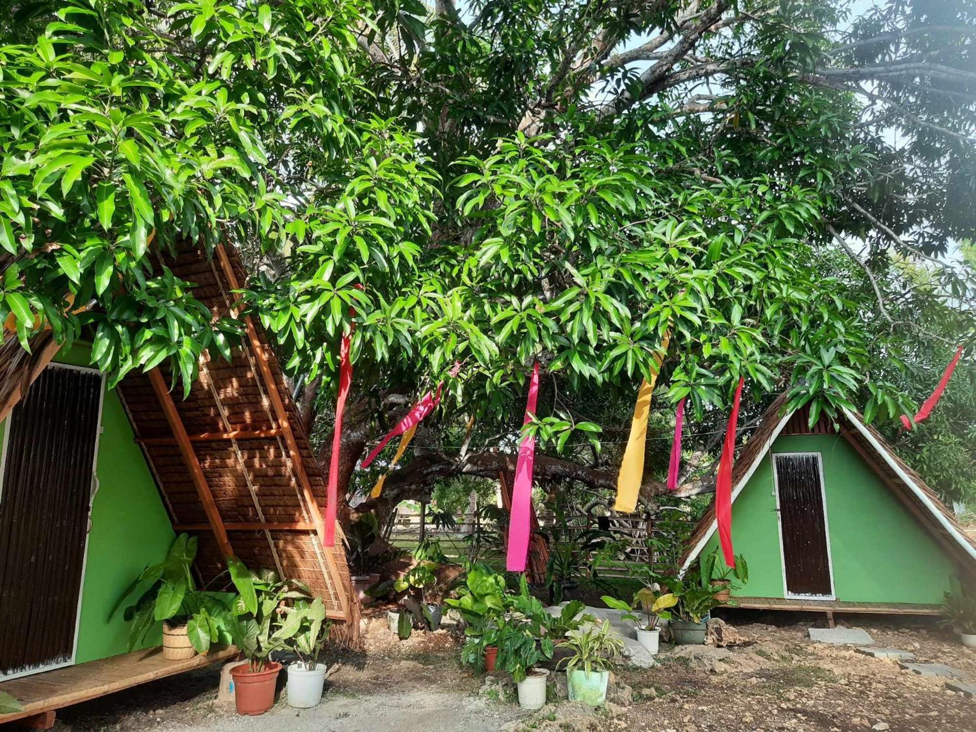 Lagkaw Uno In Lagkaw Homestay Panglao Island Exterior photo
