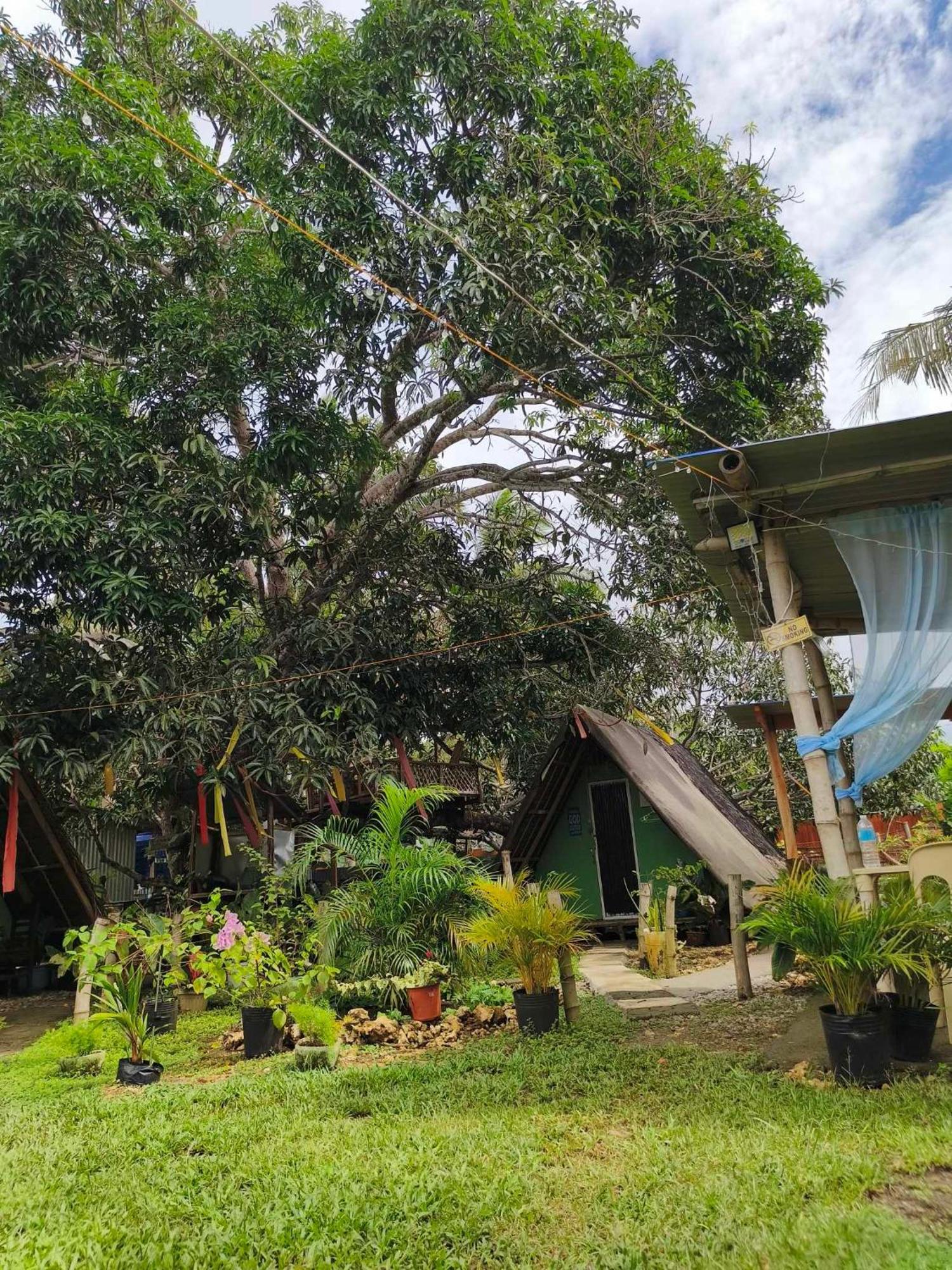 Lagkaw Uno In Lagkaw Homestay Panglao Island Exterior photo